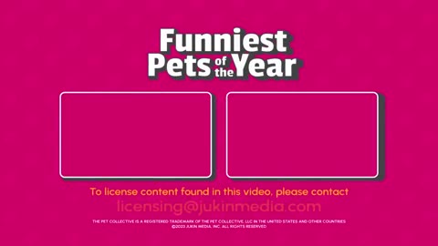 The Funniest pet video of 2024 _ Best Compilation