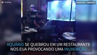 Aquário gigante se quebra em restaurante nos EUA