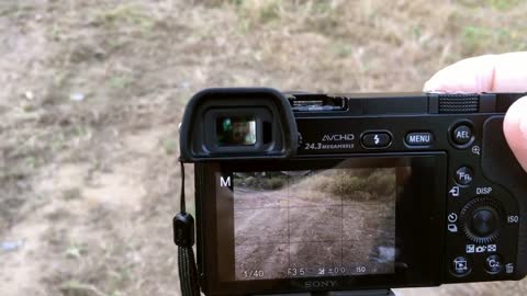Sony a6000 Live view display setting