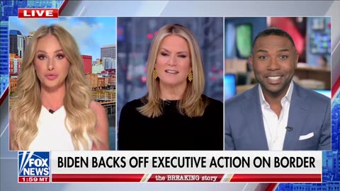 Martha MacCallum Presses Dem Strategist Over Illegal Immigration