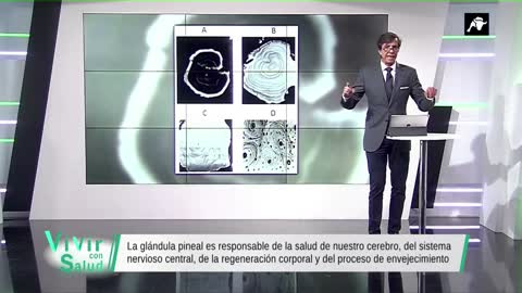 Juan Zaragoza nos habla sobre la glándula pineal.