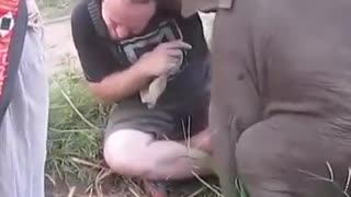 Best clip of human friend of animals