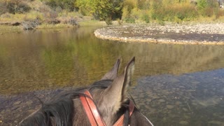 Beaver Dam on the Bear River