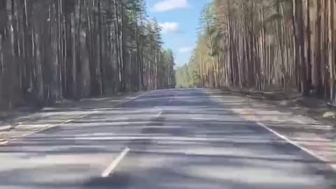 ride in the woods