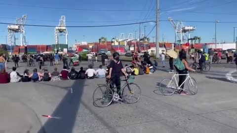 Anti-Israel protesters block Zim cargo ship in Oakland