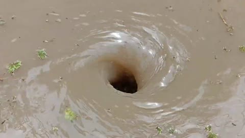The whirlpool ASMR