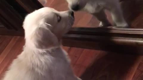 Attacking the Mirror