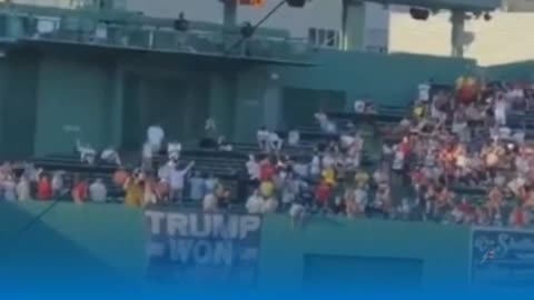 Trump Dominates The Red Sox