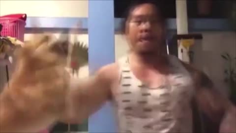 Dogs and people practice Kung Fu together