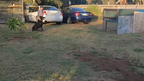 K9 Training with my Daughter