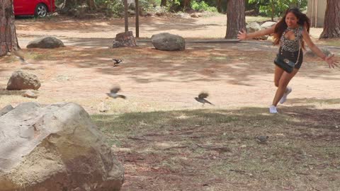 Australian wildlife - And you thought only kids did this.