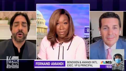 Joy Reid's guests claimed Gov. Ron DeSantis' 'cruelty' is turning Florida into 'DeSantistan'