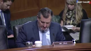 Ted Cruz Rattles Biden Nominee Over His Past Statements: ‘Wild-Eyed Leftist’