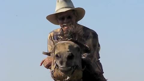 Ranch Life - Moving Cattle With The Hutterites