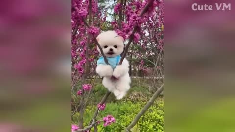 Cute baby animals Videos Compilation cute moment of the animals - Cutest Animals On Earth #7