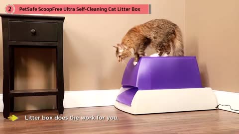 Top 5 Best Litter Boxes Review in 2021