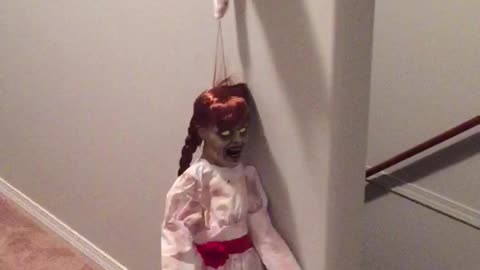 Cat vs. Annabelle Doll