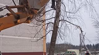 Construction Workers Rescue a Cat