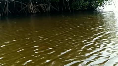 Fishing on the river