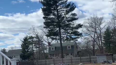 Guy practices his discus throw and runs face first into staircase