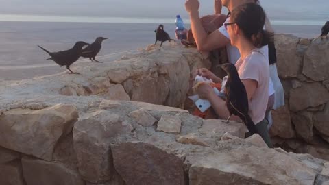 Sunrise at Masada