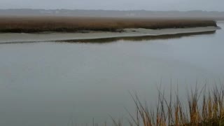 Coastal Ocean Isle