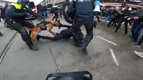 People are beaten with batons and attacked by police dogs at a protest against COVID restrictions in Amsterdam