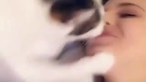 Does your cat kiss you like this?