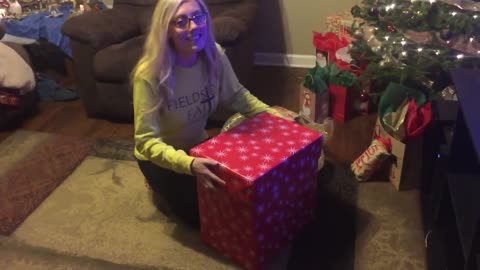 Wife reacts to dream puppy Christmas surprise!
