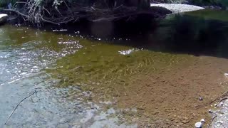 Angus Mac River Fly Fishing