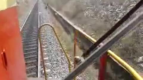 train on the track