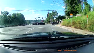 Dog Emerges from Car After Traffic Accident