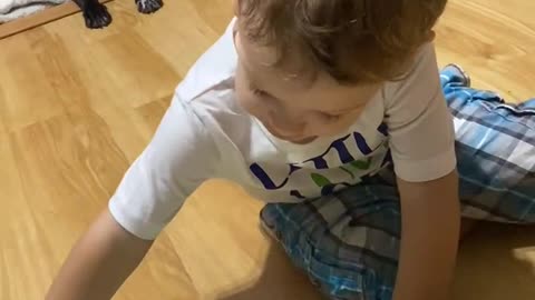 One year old learns animals