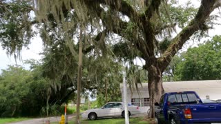 (00297) Part Three (P) - Arcadia, Florida. Driving the Hood!