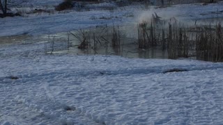 Snowmobiling Across Thin Ice