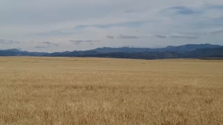 Montana landscape 2