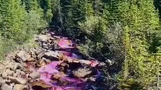 Pink River