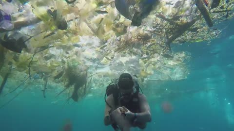 plastics in the ocean short film - a sea full of plastic!
