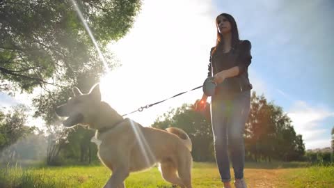 Attractive lady in jeans leads her doggy for a walk. Shooting in slow motion from a low angle