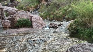 Nevada HOT springs.....