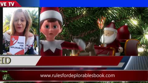 This Christmas get Rules for Deplorables Cathi Chamberlain