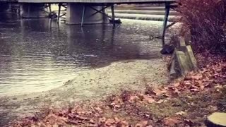 Harpersfield Covered Bridge