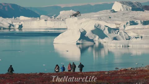 Greenland - Story From The Arctic Heart