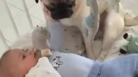 New Born Baby Playing with Pet Dog