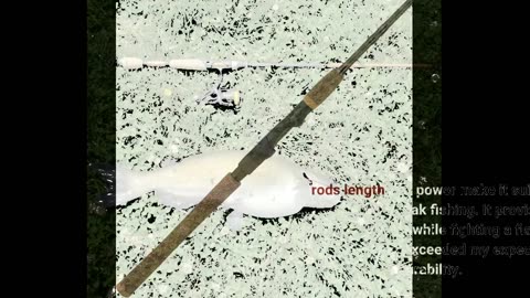 Buyer Reviews: Berkley Lightning Rod Spinning Fishing Rod