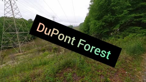 Trail Running in DuPont Forest, Raven Cliff Falls Trail & Jones Gap Trail
