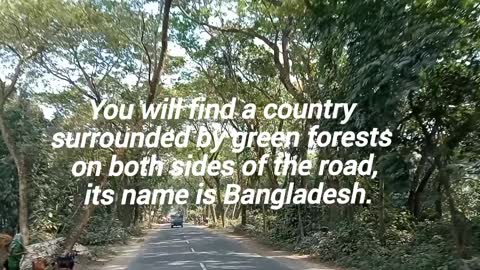 The Road Surrounded by Greenery, Eye-Catching