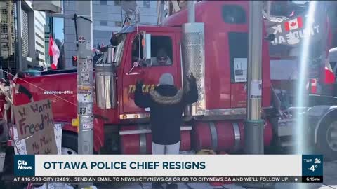 Ottawa remains full of activists for the 19th day, the city's police chief has called it quits.