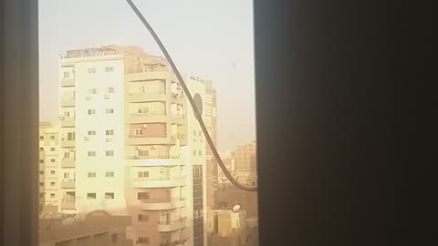 Bird Keeps Attacking Window