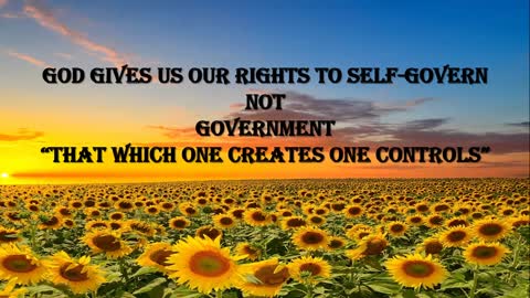 What Does Self-Governing Mean